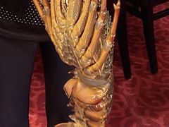 -Lucky Fortune Restaurant(喜运来酒家)