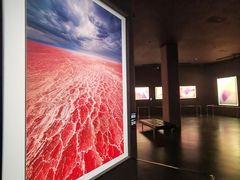 -罗红摄影艺术馆