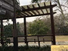 -南京十朝历史文化园-停车场