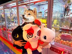 -风云再起游乐汇(北京西单西西友谊店)