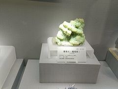 -湖南省地质博物馆