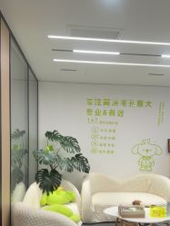 -凡碧诗毛孔清洁收细