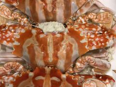 -宜宾海鲜酒家·三十年老字号