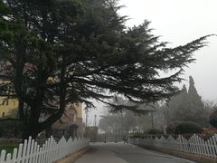 -青岛德国总督楼旧址博物馆