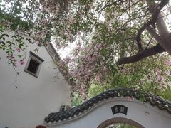 -深圳国际园林花卉博览园