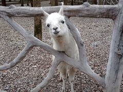 -昆山城市生态森林公园