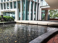 -香港大学