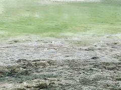 -东台吉乃尔湖