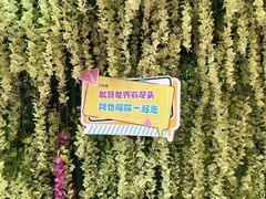 -泰安方特欢乐世界