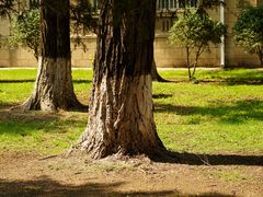 -辽宁大学(崇山校区)