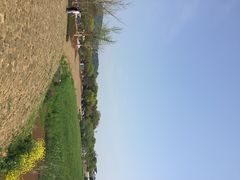 iphone_upload_pic-太湖好灶头土菜馆(石公路店)