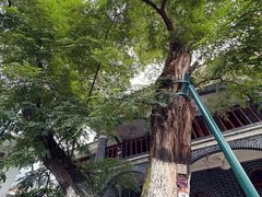 -遵义会议纪念馆