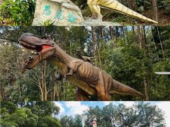 -佛冈森波拉度假区