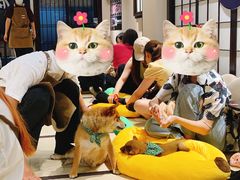 -逗柴咖啡屋·狗咖猫咖宠物桌游