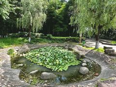 -苏州河梦清园环保主题公园