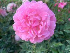 -人民公园(罗湖区)