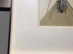 -成都百丽宫影城(LUXE太古里店)