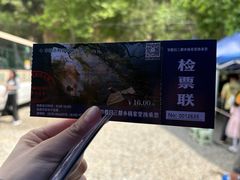 -杨家堂村