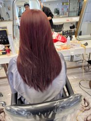 -镁连社·美联社