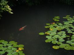 -中国茶叶博物馆(双峰馆区)
