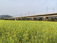 -光明小镇欢乐田园