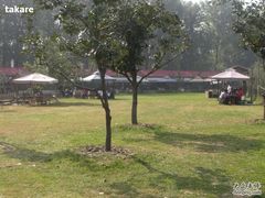 烧烤区-意大利农场度假村