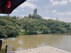 -江心屿景区