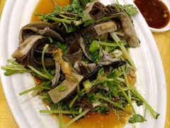牛百叶捞黄鳝柳-粤·向群饭店(泮塘路店)