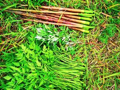 -章水镇文体中心