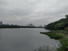 -南宁南湖公园