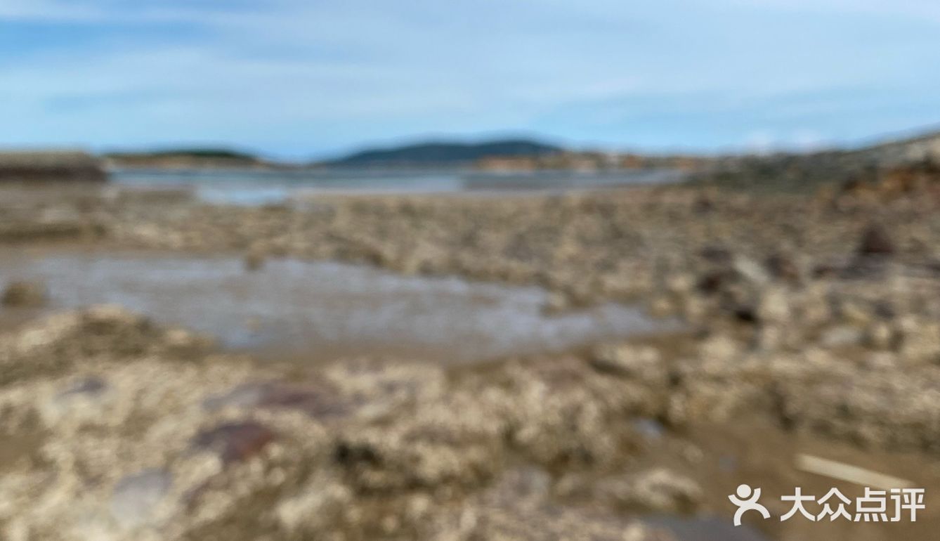 平潭赶海🌊小海鲜统统带回家啦！