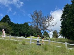 -神户市立六甲山牧场