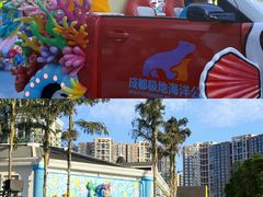 -海合安成都极地海洋公园