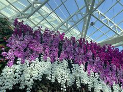 -石家庄市植物园