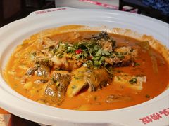太平湖有机胖头鱼-魏铭鱼头捞饭(晋阳路店)