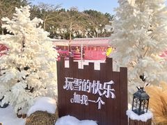 -盈香心动乐园