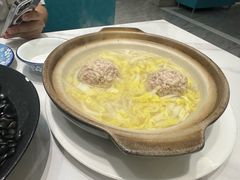 -丁老爷子苏香圆