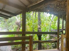 -热带雨林自然公园