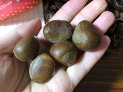 -阿男野栗王(金门路店)