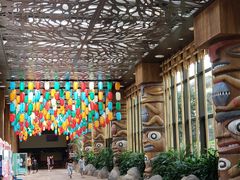 -杭州开元森泊度假乐园