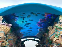 -珠海长隆海洋王国