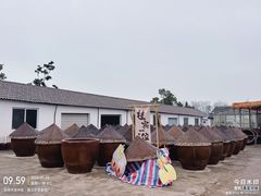 -苏州市吴中区光福窑上花果蜜饯厂