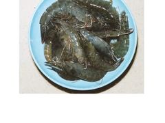 -碧桂园十里银滩
