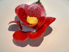 -Tomacado花厨(One ITC店)