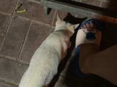 -老三烧烤(二环西路店)