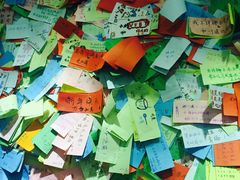 -志龙皇冠吃货椰子铺