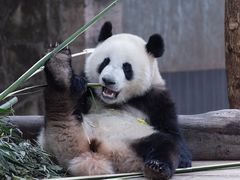 -石家庄市动物园