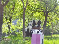 -青藏高原野生动物园