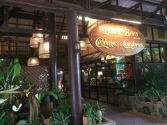 -卷心菜和避孕套餐厅(Pattaya)