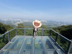 -黄埔油麻山森林公园